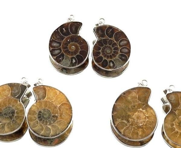 Steinschmuck - Anhänger Ammoniten / Fossilien