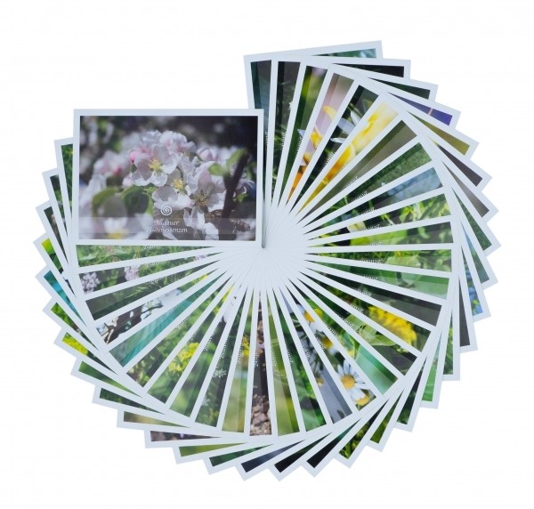 Allgäuer Blütenessenzen - Zubehör - Blütenkarten - Kartenset 33er