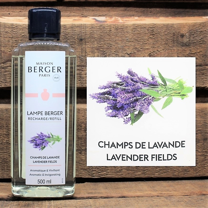 Maison Lampe Berger - Nachfüllduft - Raumparfum - Champs des Lavande - LAVENDER FIELDS - Lavendel 