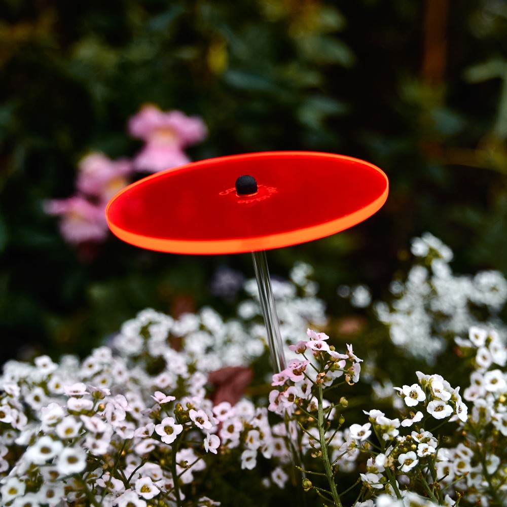 SONNENSCHEIBE / SONNENBLUME - Mini - ROT für den SONNENSTRAUß