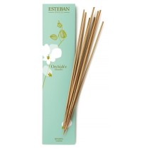 ORCHIDÉE BLANCHE - Räucherstäbchen - Esteban Paris Parfums