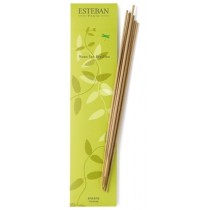 SOUS LES FEUILLES - Räucherstäbchen - Esteban Paris Parfums