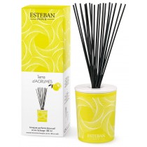 Esteban Paris Raumduft - PARFUMIERTES DEKORATIVES BUKETT - TERRE D´AGRUMES