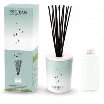 Esteban Paris Raumduft - PARFUMIERTES DEKORATIVES BUKETT - PUR LIN