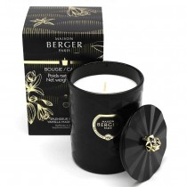Duftkerze - Maison Berger - Spleneur Vanillée - Vanilla Magnificence