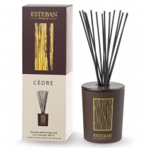 Esteban Paris Raumduft - PARFUMIERTES DEKORATIVES BUKETT - ZEDER - CÉDRE