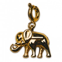 Street Glücksbringer Schmuck - Charm Gold Elefant
