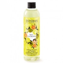 NACHFÜLLDUFT - TERRE D´AGRUMES - Esteban Paris Parfums