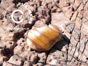 Kraftsteine, Heilsteine - Trommelstein CAPPUCHINOJASPIS