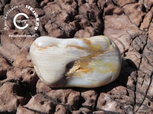 Kraftsteine, Heilsteine - Trommelstein VERSTEINERTES HOLZ