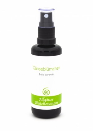 Allgäuer Blütenessenzen - GÄNSEBLÜMCHEN