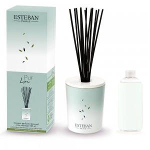 Esteban Paris Raumduft - PARFUMIERTES DEKORATIVES BUKETT - PUR LIN