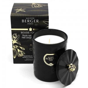 Duftkerze - Maison Berger - Spleneur Vanillée - Vanilla Magnificence